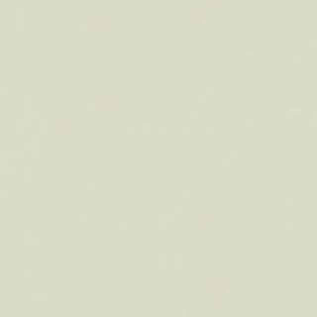 コスモス襖紙 No.238拡大画像