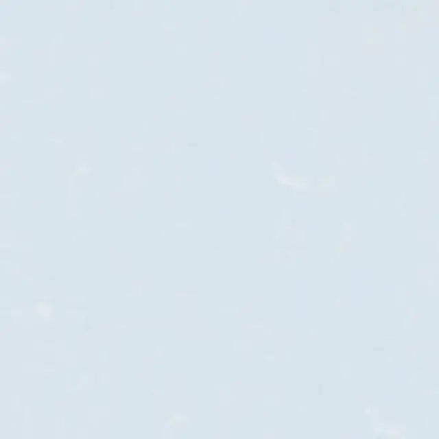 コスモス襖紙 No.241 拡大画像