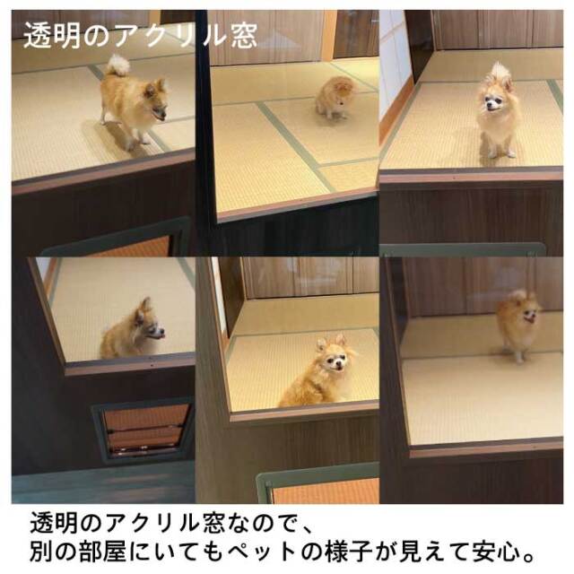nene様　Window ドアPETテープ 12本セット nene様 Window ドアPETテープ 12本セット（CATEGORY PETテープ