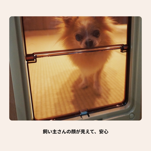 ペットドア