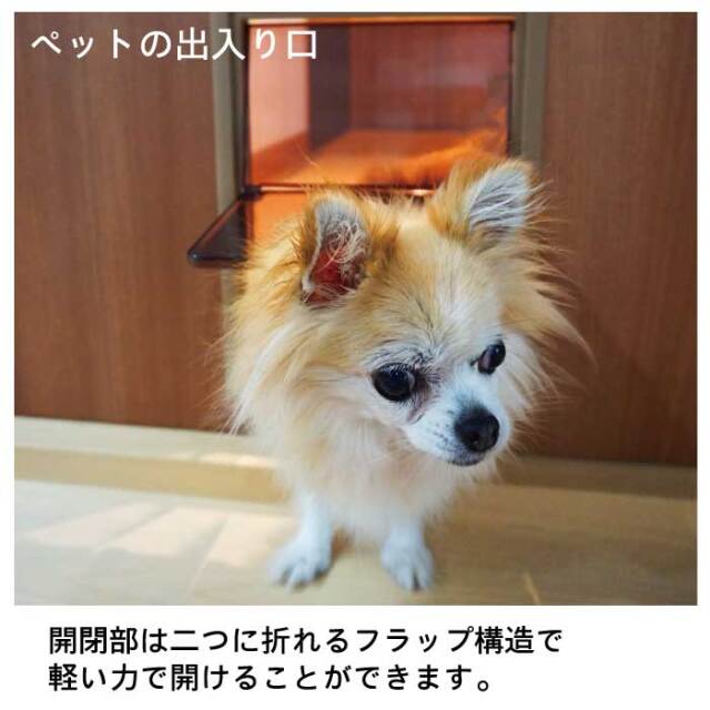 開閉部は二つに折れるフラップ構造で、軽い力で開けることができます。