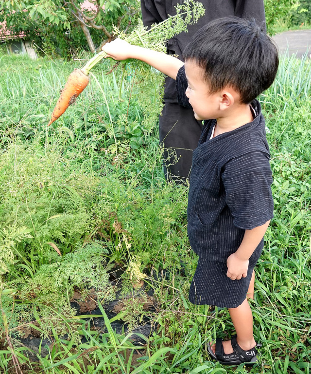 子供用近江ちぢみ絣織甚平