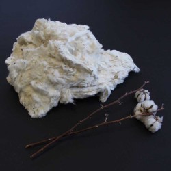 オーガニックコットン原綿