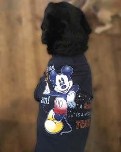 【DM便可】STAY GOLDOG (スティゴールドッグ) REMAKE T / MICKY POCKET (L)