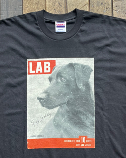 【ネコポス可】STAY GOLDOG (スティゴールドッグ) BLACK LAB PHOTO TEE