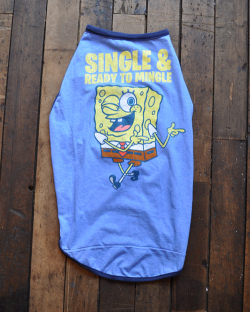 【DM便可】STAY GOLDOG (スティゴールドッグ) REMAKE T / Spongebob (F)