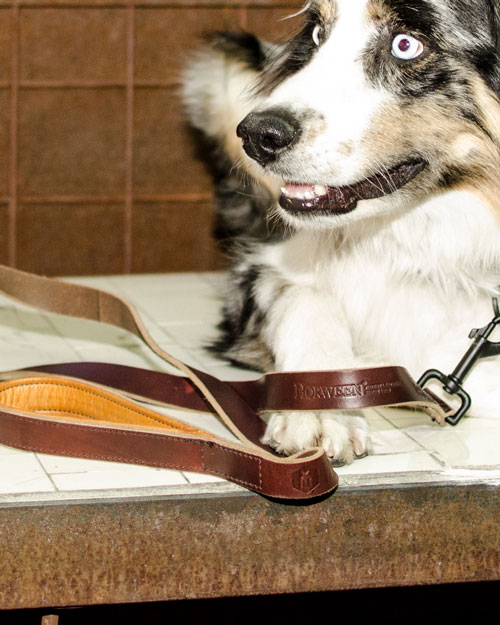 WOLF GANG ブラウンレザーリード WOLFGANG MAN & BEAST (ウルフ