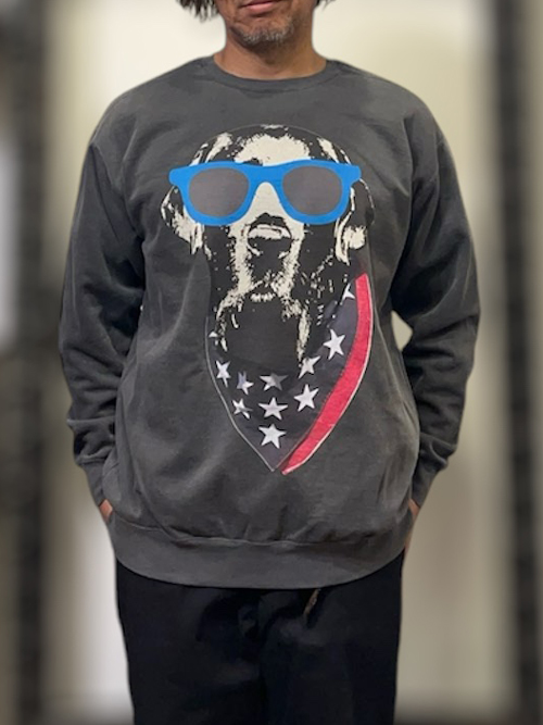 STAY GOLDOG (スティゴールドッグ) BLACK LAB GLASSES CREW