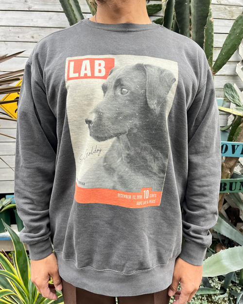 STAY GOLDOG (スティゴールドッグ) BLACK LAB PHOTO CREW