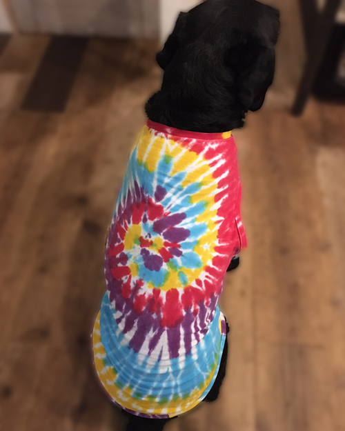 【DM便可】STAY GOLDOG (スティゴールドッグ) REMAKE T / TIEDYE A