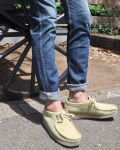Clarks Original (クラークスオリジナル) Wallabee/ ワラビー