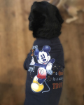 【DM便可】STAY GOLDOG (スティゴールドッグ) REMAKE T / MICKY POCKET (L)