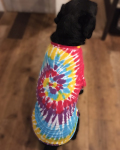 【DM便可】STAY GOLDOG (スティゴールドッグ) REMAKE T / TIEDYE A