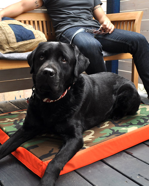 WOLFGANG MAN & BEAST (ウルフギャング) Field DOG BED