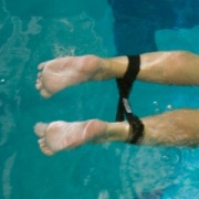 Ankle