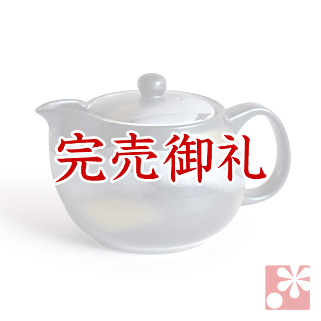 九谷焼 ポット 急須（茶こし 網付き） 連山【アウトレット】