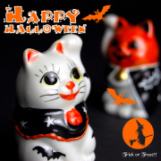 【季節限定】ちび招き猫ちゃんセット　魔法使いとカボチャ被り（WAZAHONPO-HALLOWEEN）