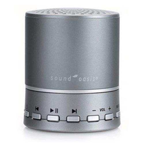 サウンドオアシス BST100 ナチュラルサウンド 小さくて多機能！Bluetooth接続 日本正規代理店