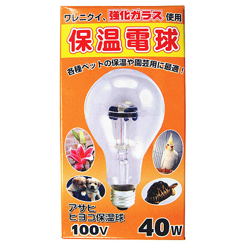 アサヒ　ヒヨコ保温電球　40Ｗ