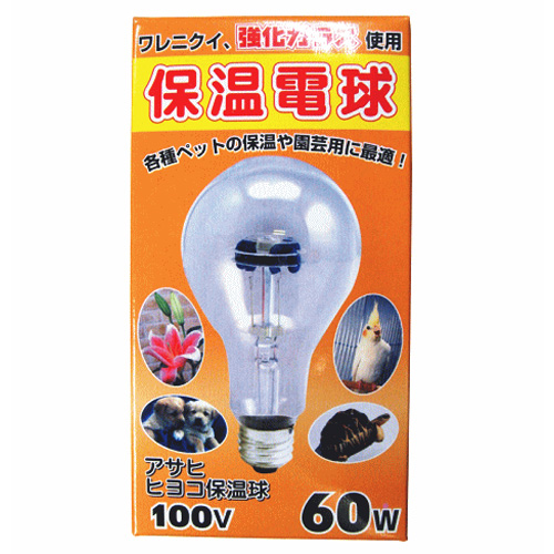 アサヒ　ヒヨコ保温電球　60Ｗ