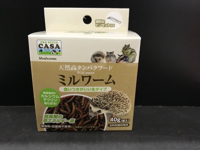 ＣＡＳＡ　ワイルドメニュー　ミルワーム