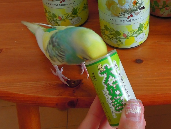 大好きん　食べてる画像　e