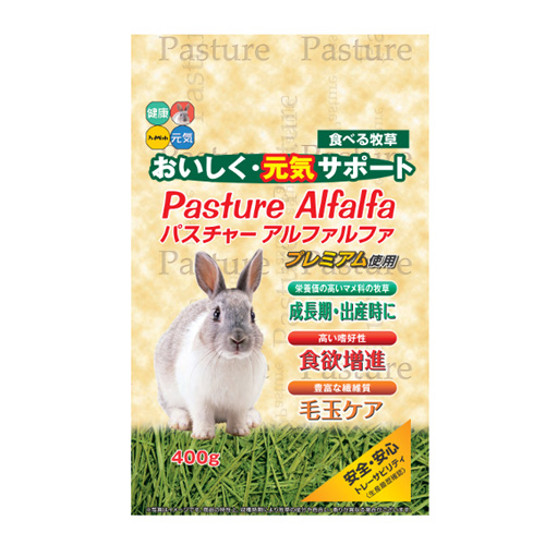 ハイペット　パスチャーアルファルファ　400ｇ