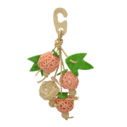 ＳＡＮＫＯ　サンコー　ナチュラルハンガー　フルーツー　A14