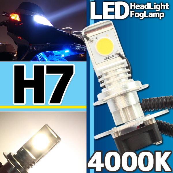 CREE社製 LEDヘッドライト フォグランプ H7 4000k 1灯分