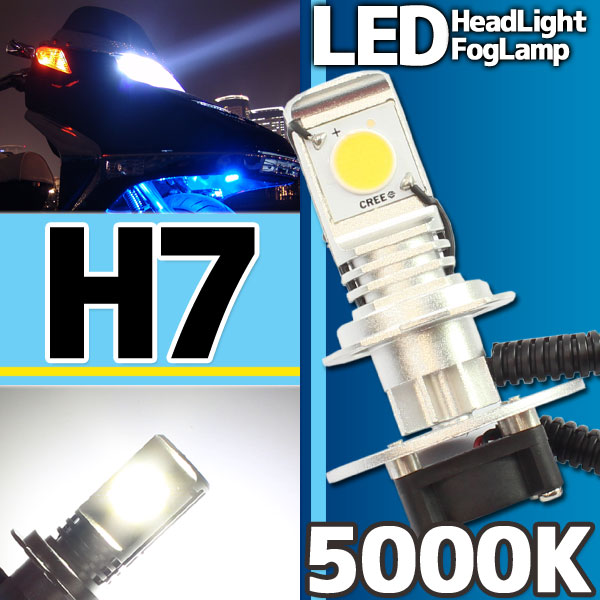 CREE社製 LEDヘッドライト フォグランプ H7 5000k 1灯分