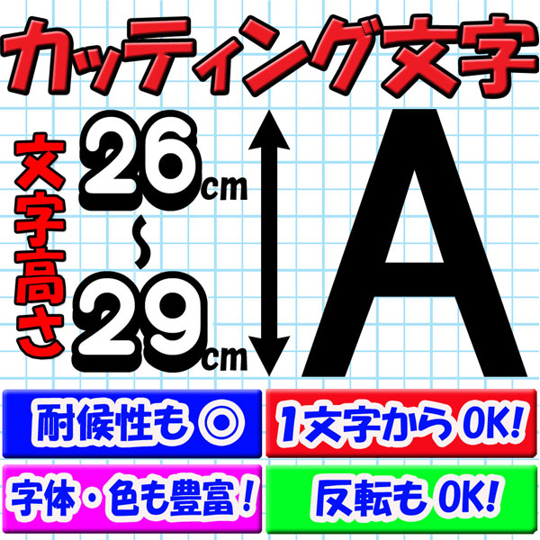 カッティング文字 26cm/27cm/28cm/29cm