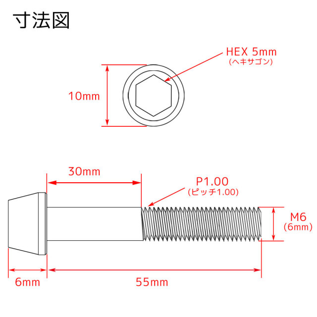M6×55 チタンボルト 1本