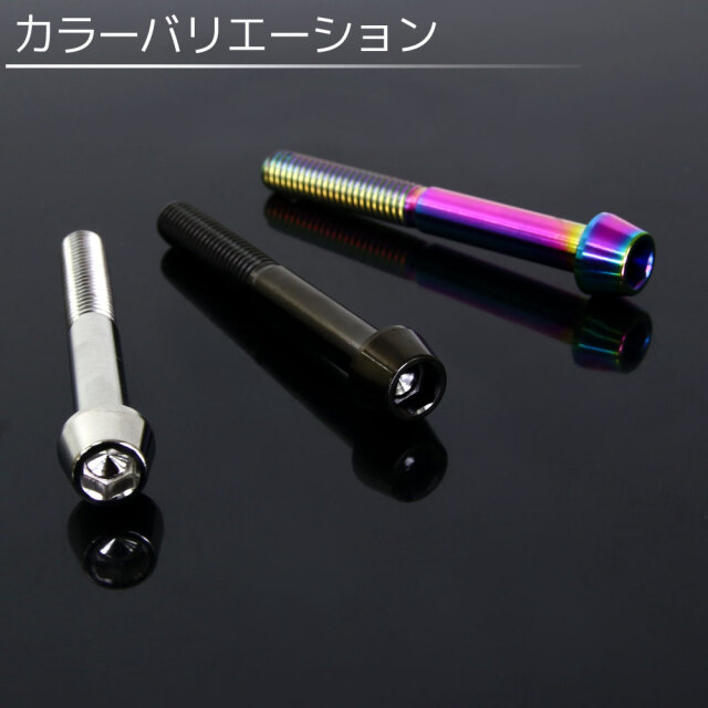 M6×55 チタンボルト 1本