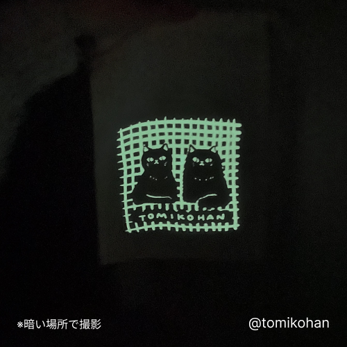 蓄光サンプルとみこはん01