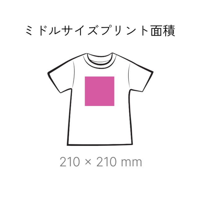 ロゴスルミドルサイズイメージ
