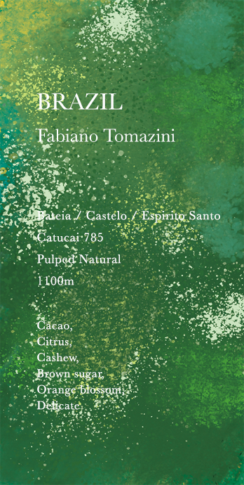 ブラジル　ファビアーノ・トマチーニ 200g