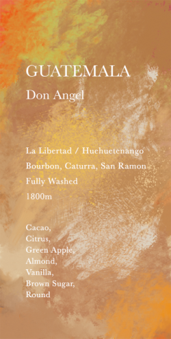 グァテマラ　ドン・アンヘル 200g