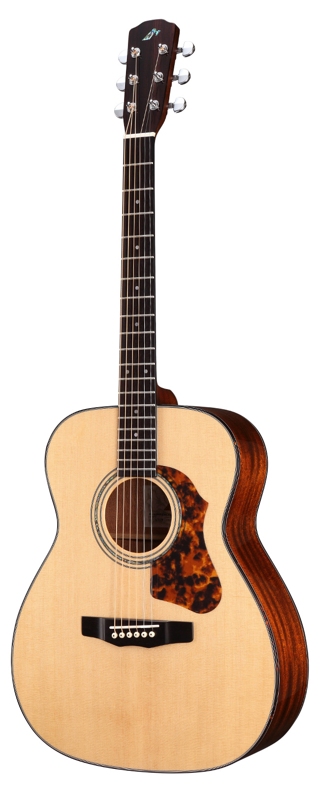 【送料込】【HAND MADE PREMIUM】Morris《モーリス》 F-LTD ２ NAT 《ナチュラル》