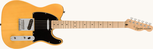 Squier by Fender Telecaster, Maple Fingerboard, Black Pickguard, Butterscotch Blonde《フェンダー》《スクワイヤー》《テレキャスター》