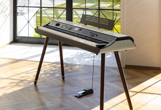 展示品特価!】【さらに専用スタンド ST-WGS プレゼント!】KORG