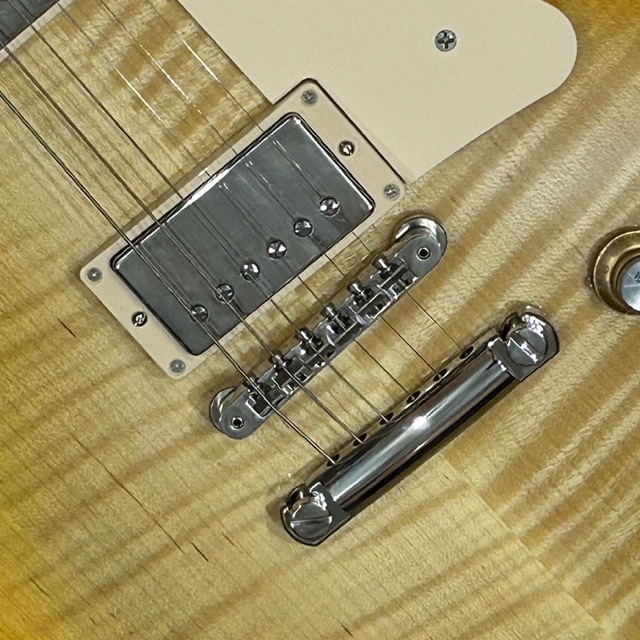 送料無料】Gibson《ギブソン》Les Paul Standard 60s AAA