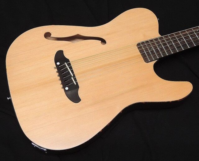 SCHECTER OL-FL SNTL Oriental Line シェクター 薄胴 アコースティック 