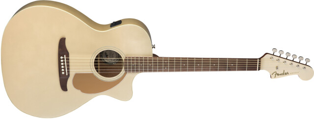 FENDER 《フェンダー》 NEWPORTER PLAYER, Walnut Fingerboard, Champagne