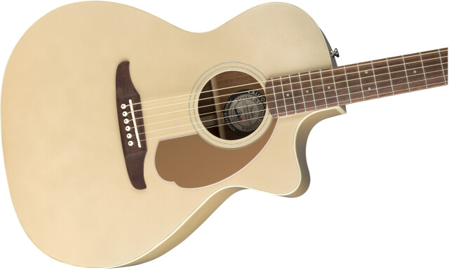 FENDER 《フェンダー》 NEWPORTER PLAYER, Walnut Fingerboard, Champagne
