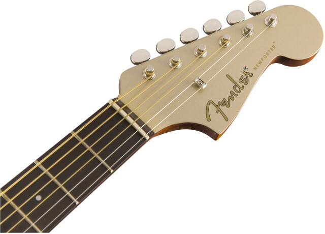 FENDER 《フェンダー》 NEWPORTER PLAYER, Walnut Fingerboard, Champagne