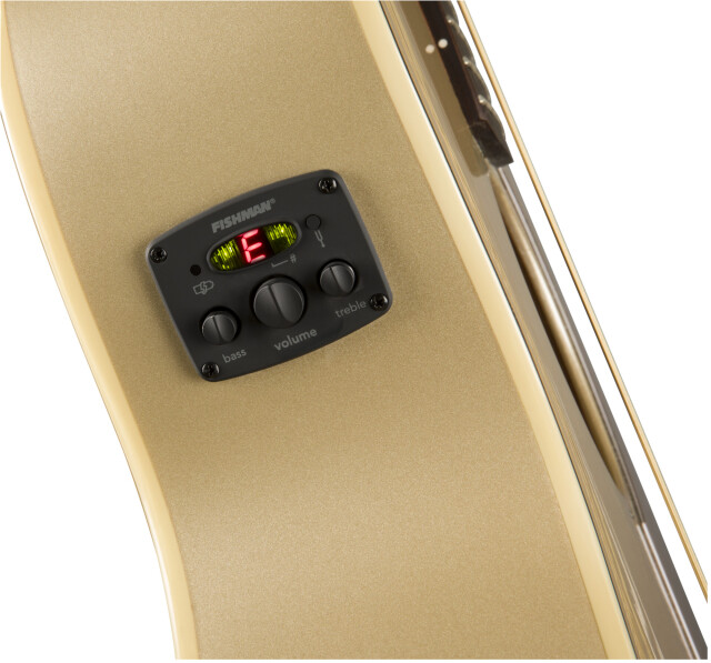 FENDER 《フェンダー》 NEWPORTER PLAYER, Walnut Fingerboard, Champagne