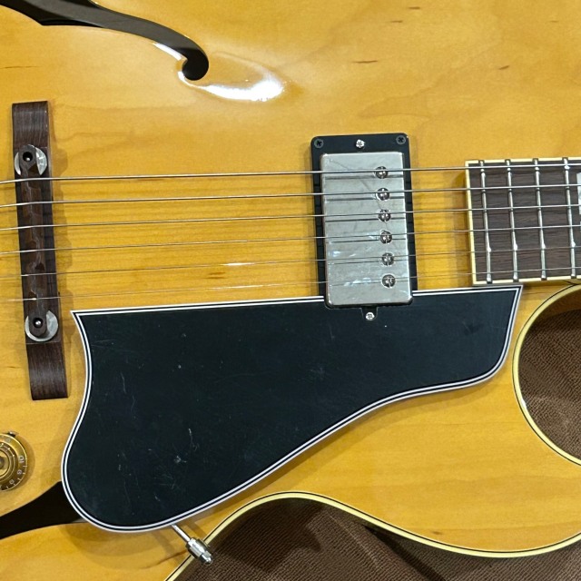 中古/USED】ARCHTOP TRIBUTE AT175 Prototype LAN《アーチトップ