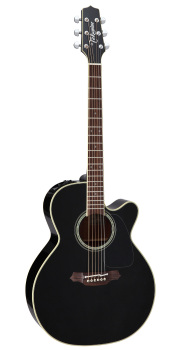 【送料込】Takamine FPT561C BL《タカミネ／エレアコ／セミハードケース付き》
