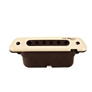 【送料無料】L.R. Baggs M80 《エルアールバッグス》Acoustic Guitar用 Soundhole Pickup《サウンドホールピックアップ》《アコースティックギター用》