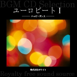 た*し様 (輸入12inch)ユーロビート/ポップス/ダンスほか　全６０枚/年代 私を構成する42枚（12インチ篇）｜マジックナンバー